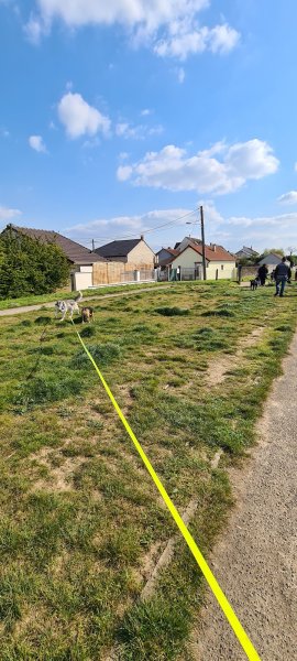 Espace canin - photo 2