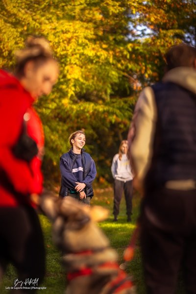 Révolucani — éducateur canin - comportementaliste