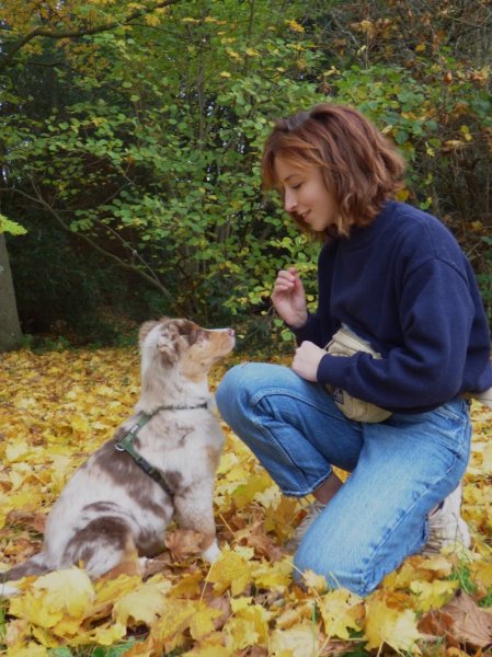 Révolucani — éducateur canin - comportementaliste - photo 2