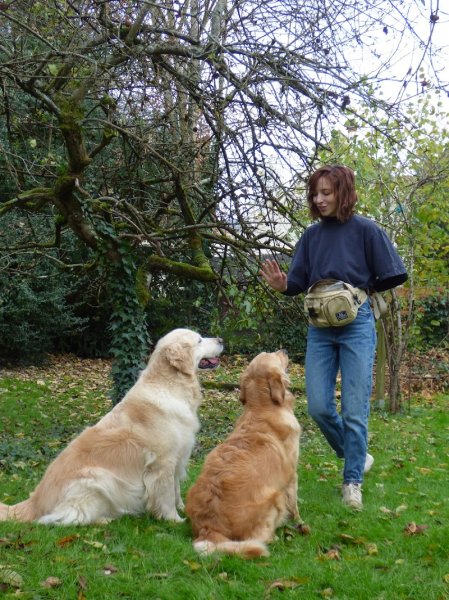 Révolucani — éducateur canin - comportementaliste - photo 3