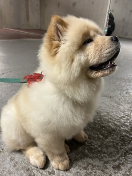 L'hachienda - photo 1