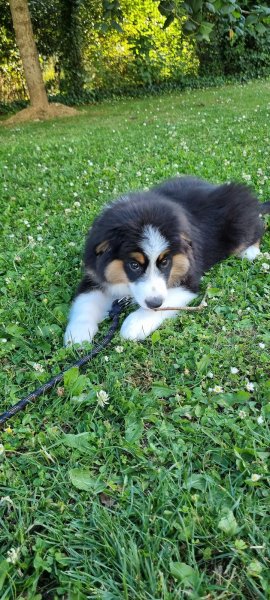 L'hachienda - photo 2