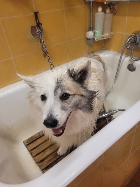 L'hachienda - photo 3