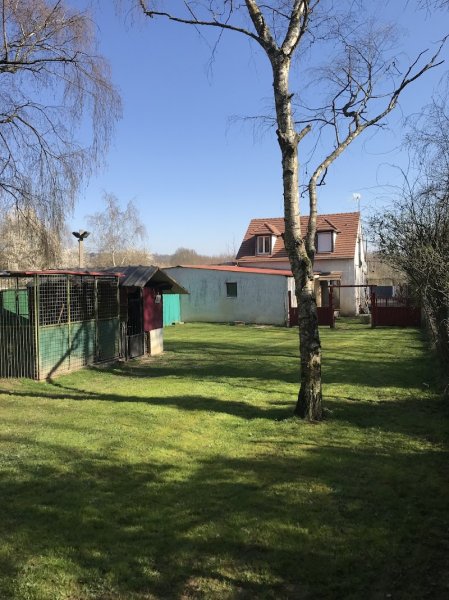 Pension Canine Scapman's - photo 2