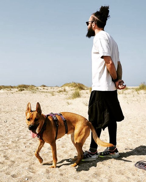 Woufï - Education, Formation & Comportement canin - Val-de-Marne 94 - photo 2