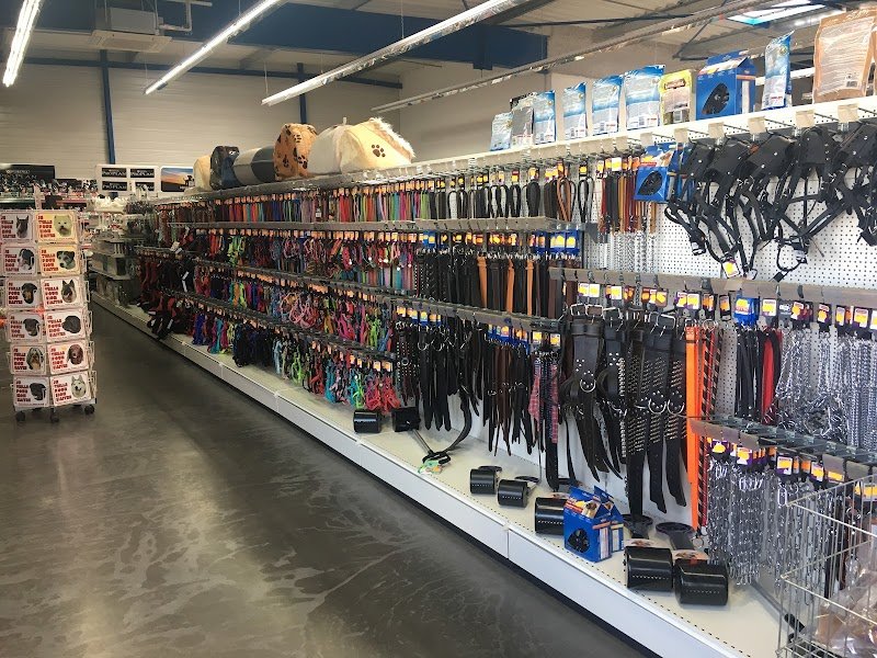 Label canin - photo 1