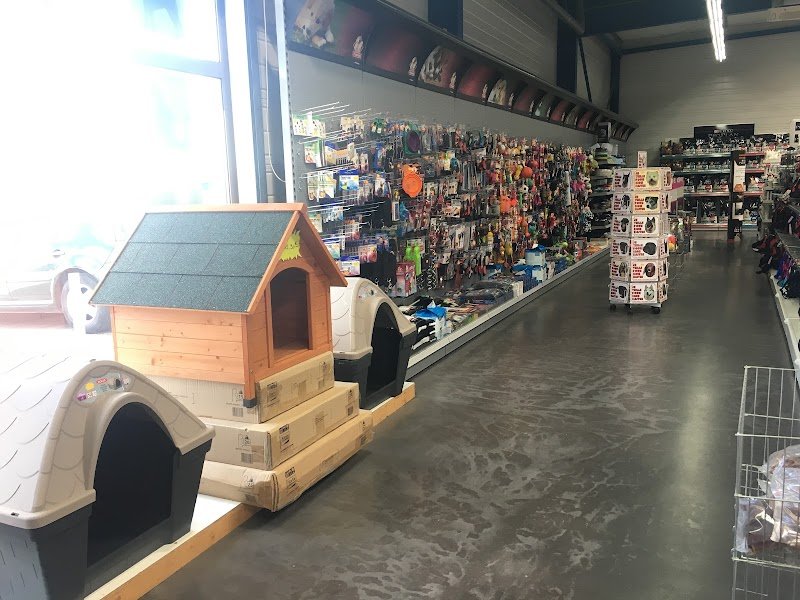 Label canin - photo 2