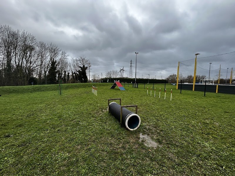 Parc Canin Villabé - photo 1