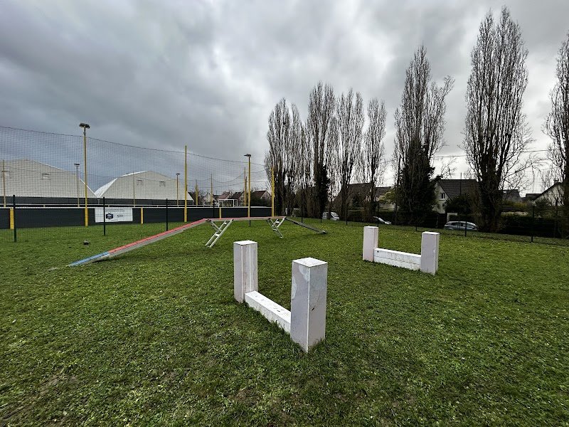 Parc Canin Villabé - photo 3