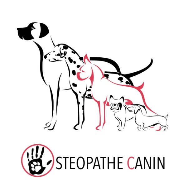 Ostéopathe Animalier (Canin & Félin & Equin) Carole-Anne TANNIERE inscrite au RNA sous le numéro OA410