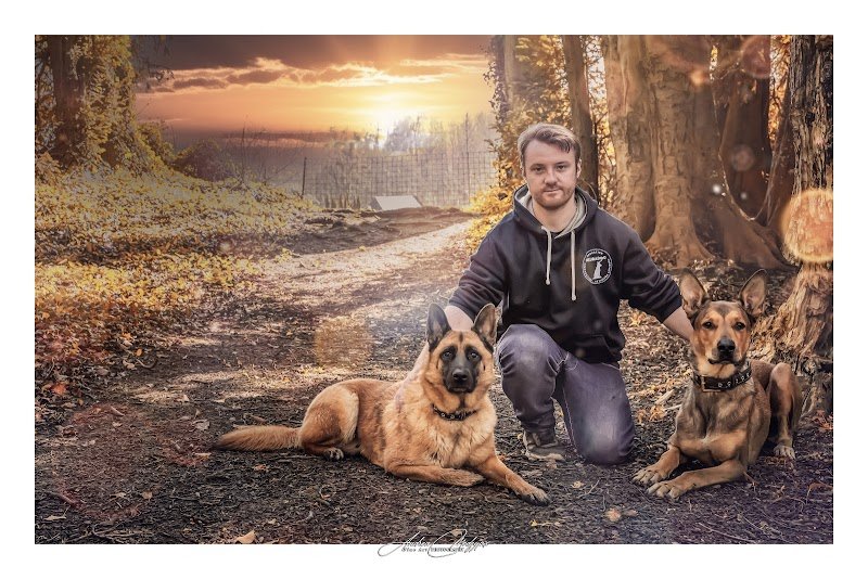 Neuradog - Educateur canin Caen