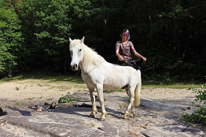 Mary Jaguin - Comportementaliste et praticienne holistique équin