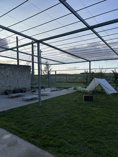 Alpha Dogs’ House - photo 2