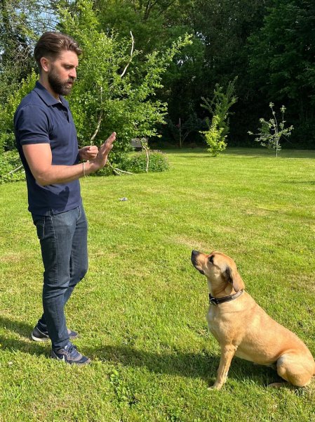 FEEL GOOD DOG EDUCATION CANINE - photo 2