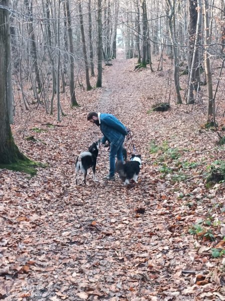 FEEL GOOD DOG EDUCATION CANINE - photo 3