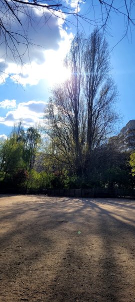 Parc canin - photo 1