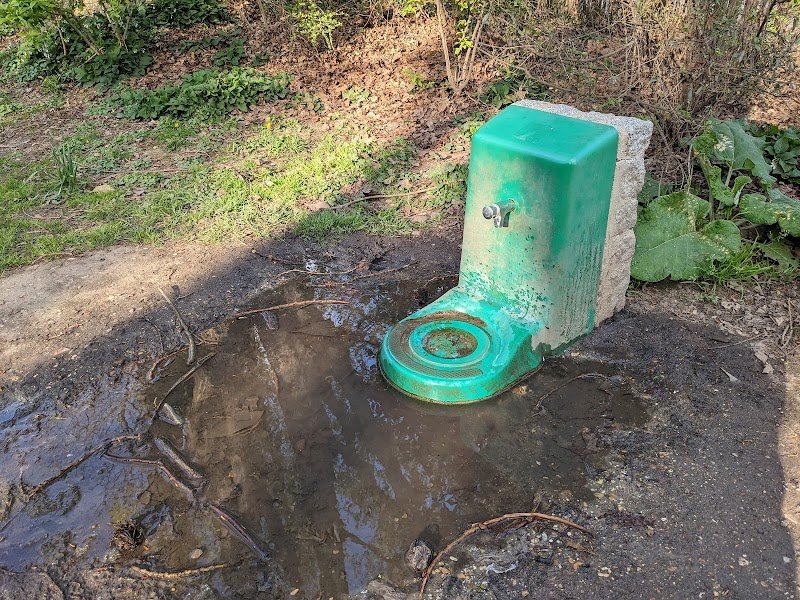 Parc canin - photo 2