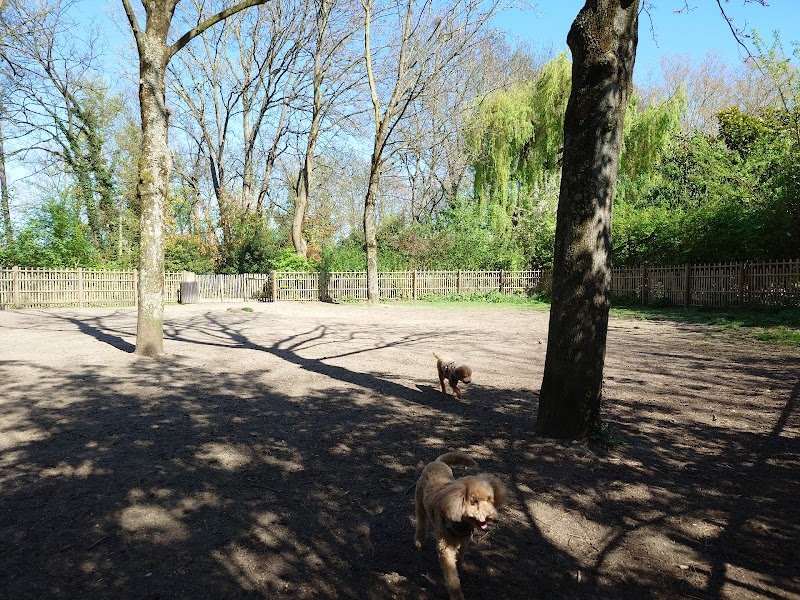 Parc canin - photo 1