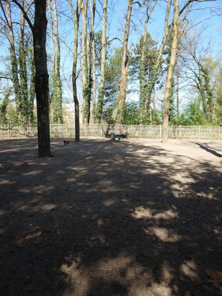 Parc canin - photo 2