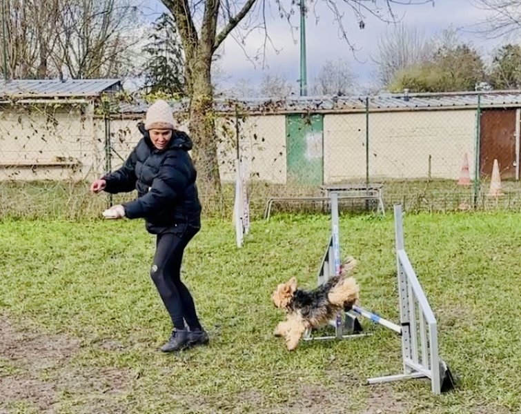 Club Canin Argenteuil - photo 2