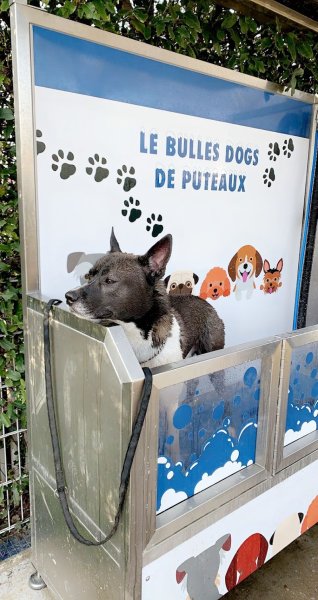 Parc canin de l'île de Puteaux - photo 3