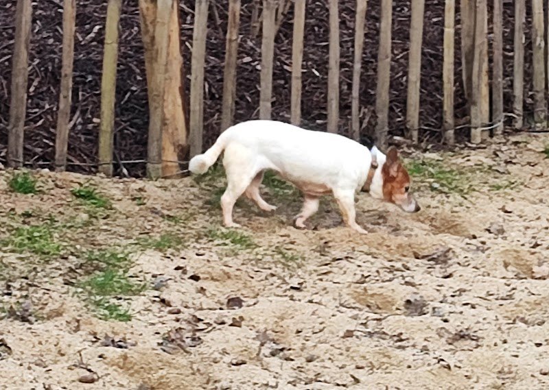 Parc Canin - photo 1