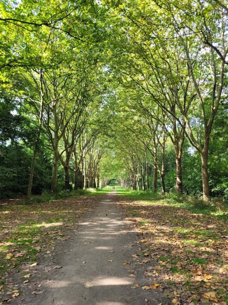 Parc Canin de Sceaux - photo 1