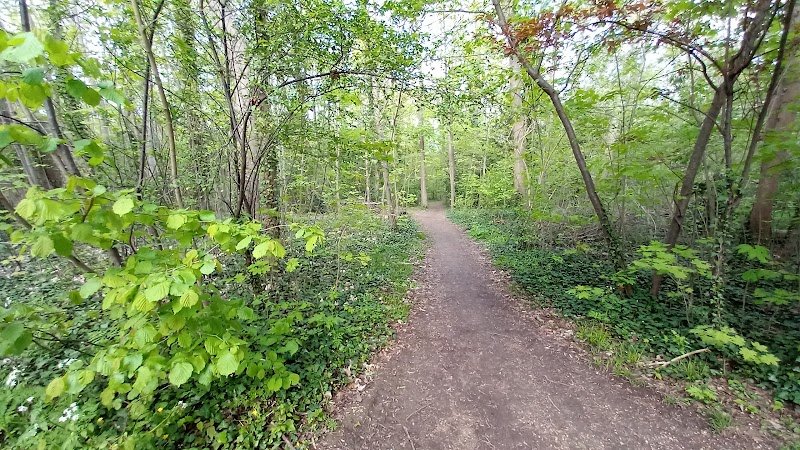 Parc Canin de Sceaux - photo 2