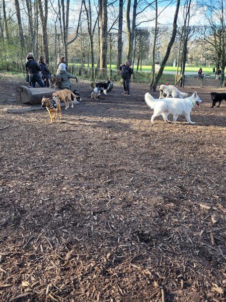 Parc Canin de Sceaux - photo 3