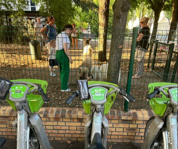 Parc canin - photo 2