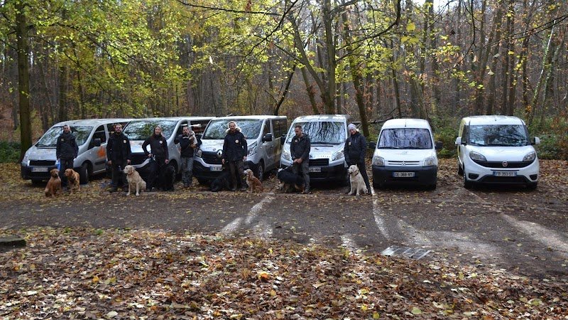 Doggies et Compagnie - photo 1