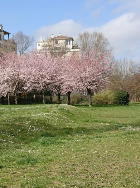 Parc Canin - photo 3