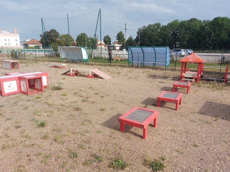 Club D'Education Canine du Nord Est Parisien Garges lès Gonesse - photo 2