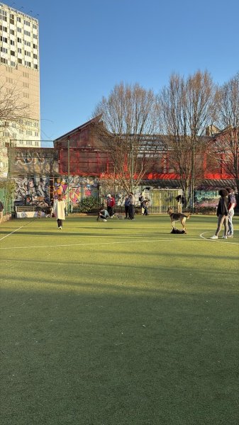 Parc Canin des Puces de Saint-Ouen - photo 3