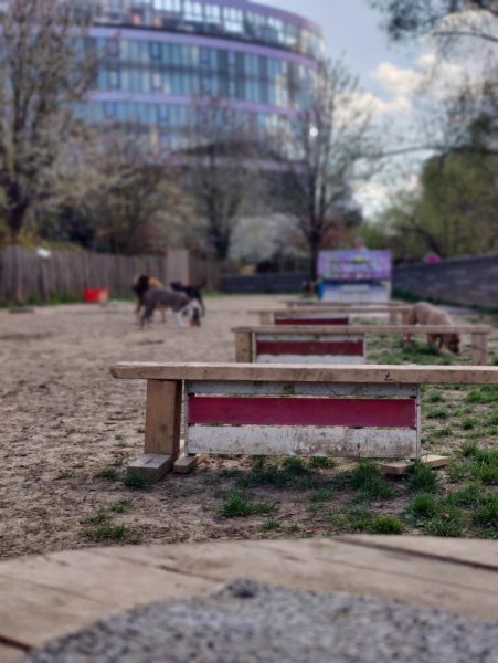 Parc à chien - photo 3