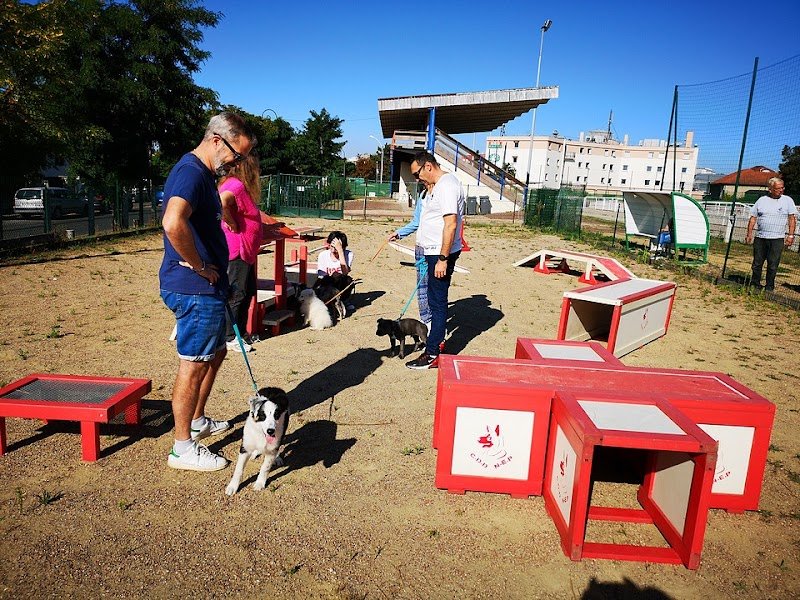 éducation | canin | île de france | chiot | agility - photo 1