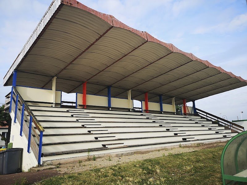 éducation | canin | île de france | chiot | agility - photo 3