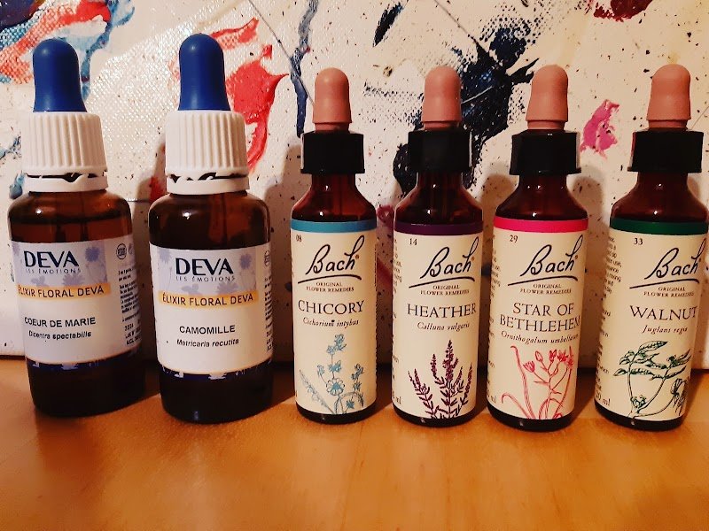 Social Dog - photo 3