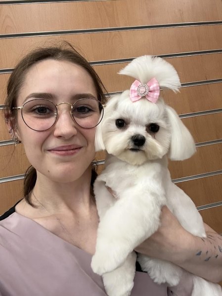 Elegance Canine - photo 3