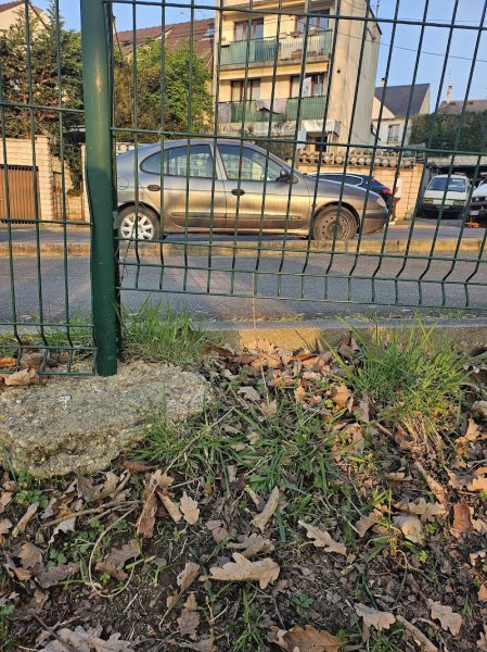 Parc Canin - photo 1