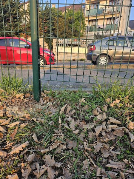 Parc Canin - photo 3