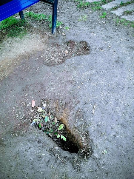 Parc Canin - Espalanade Charles de Gaulle - photo 3