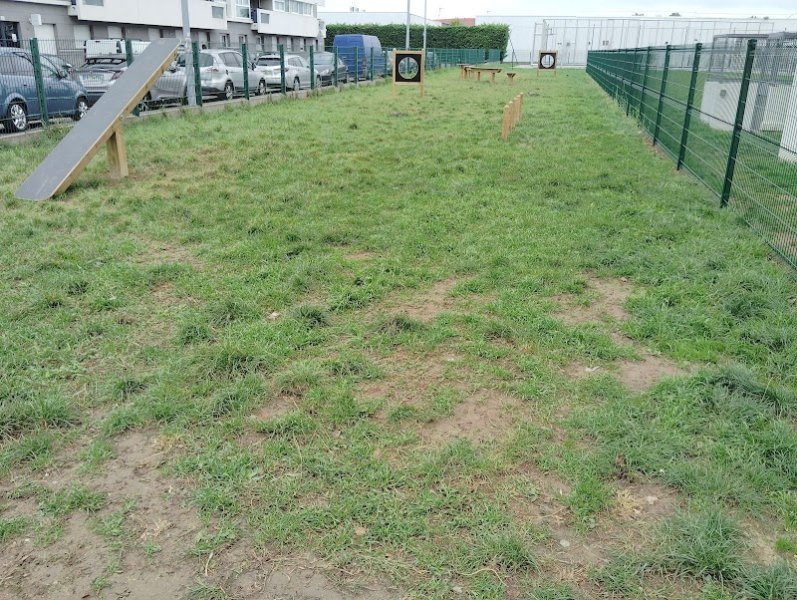 Parc canin Mirza - photo 2