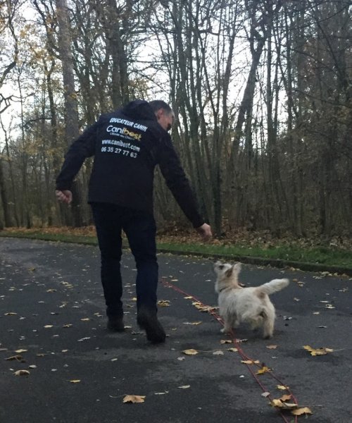 Blog conseils sur les chiens - photo 3