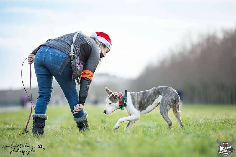 Mimii Dog's Mind - photo 1