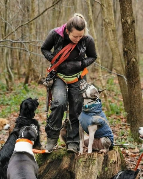 Mimii Dog's Mind - photo 2