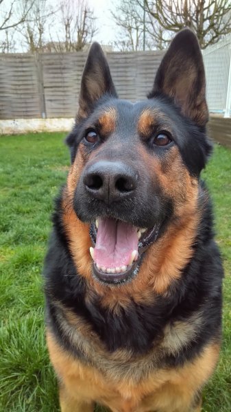 LE TABERNACHIEN - photo 2