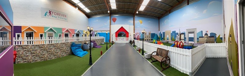 Forever Dog Training