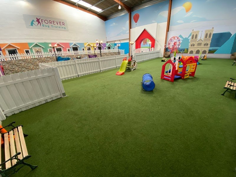 Forever Dog Training - photo 2