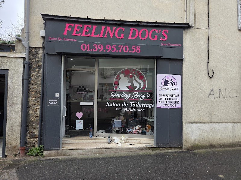 Feeling Dog's - Salon de toilettage Cormeilles-en-Parisis - photo 2